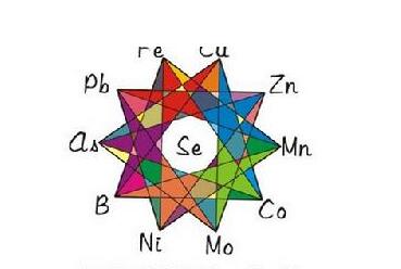 医用人体星空体育