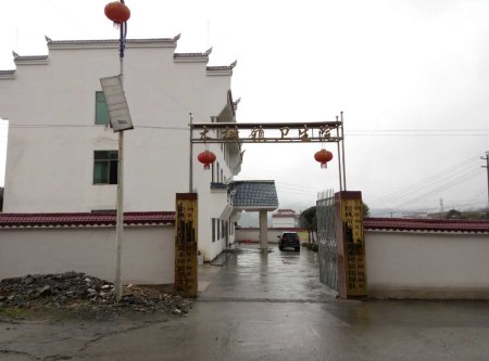 木树镇卫生院采购星空体育