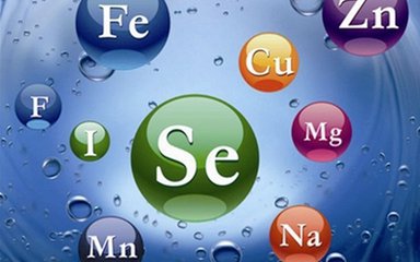 北京星空体育之微量元素对宝宝的重要性?山东国康