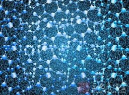 星空体育厂家讲述有机酸的重要性?山东国康