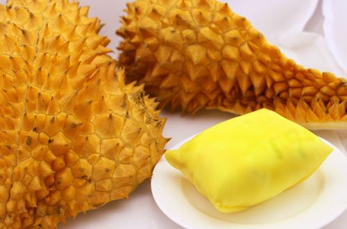 微量元素检测仪厂家之水果中的微量元素有多少?山东国康