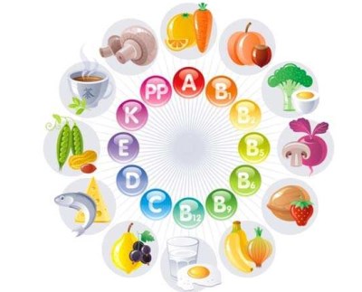 人体星空体育厂家解析微量元素和维生素的区别-山东国康