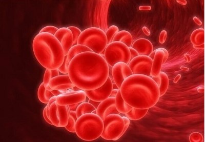 全自动星空体育品牌-致使缺铁性贫血因素-山东国康