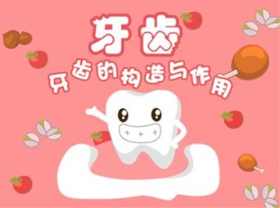 全自动星空体育厂家-保护孩子牙齿补钙就行吗，山东国康