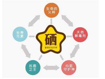 星空体育检测硒元素,它对健康有多么重要 星空体育检测硒元素,它对健康有多么重要