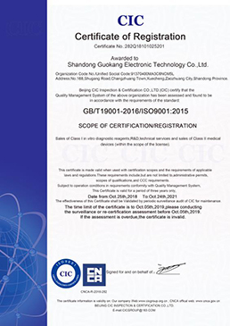 ISO9001-英文