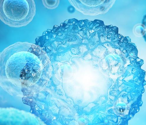 微量元素检测仪品牌山东国康分析微量元素需要空腹吗? 微量元素检测仪品牌山东国康分析微量元素需要空腹吗?