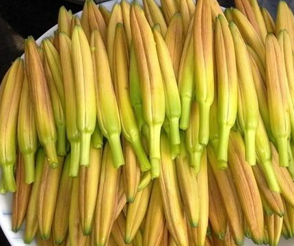 秋冬季节【星空体育】厂家国康分析富硒黄花菜,明目养颜,比核桃还补脑!