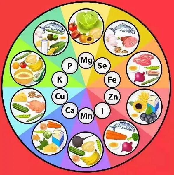 全自动星空体育提示微量元素对人体直接影响